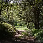 - Detente & Jacuzzi Aux Portes De Gerardmer Vila