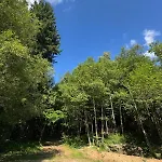 Vila - Detente & Jacuzzi Aux Portes De Gerardmer Anould