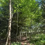 - Detente & Jacuzzi Aux Portes De Gerardmer Vila Anould