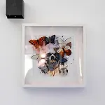 - Detente & Jacuzzi Aux Portes De Gerardmer Vila *