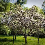 - Detente & Jacuzzi Aux Portes De Gerardmer