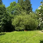 - Detente & Jacuzzi Aux Portes De Gerardmer * Anould