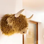 - Detente & Jacuzzi Aux Portes De Gerardmer Anould