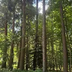 - Detente & Jacuzzi Aux Portes De Gerardmer Vila Anould