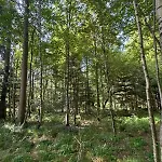 - Detente & Jacuzzi Aux Portes De Gerardmer Vila Anould