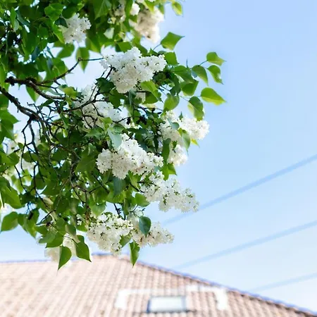 - Detente & Jacuzzi Aux Portes De Gerardmer *