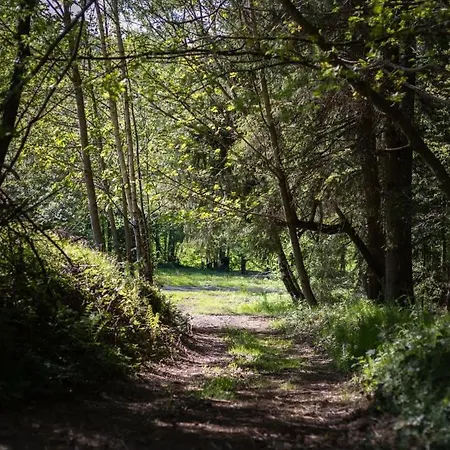 - Detente & Jacuzzi Aux Portes De Gerardmer 别墅
