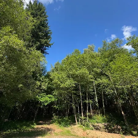 וילה - Detente & Jacuzzi Aux Portes De Gerardmer Anould