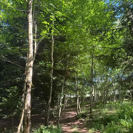 - Detente & Jacuzzi Aux Portes De Gerardmer וילה Anould