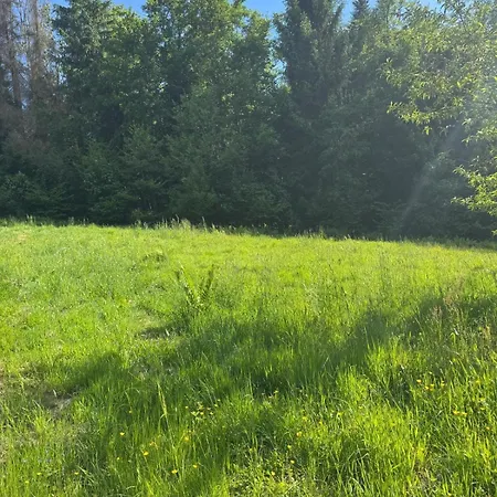 - Detente & Jacuzzi Aux Portes De Gerardmer