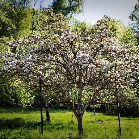 - Detente & Jacuzzi Aux Portes De Gerardmer