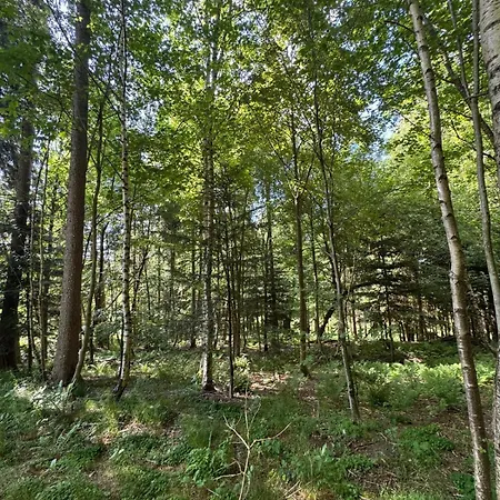 - Detente & Jacuzzi Aux Portes De Gerardmer וילה Anould