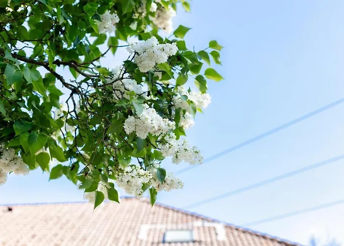 - Detente & Jacuzzi Aux Portes De Gerardmer *