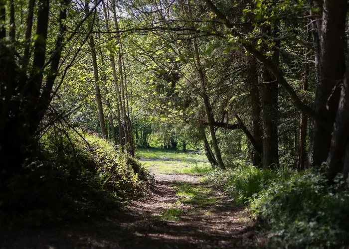 - Detente & Jacuzzi Aux Portes De Gerardmer Vila