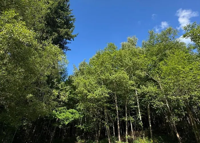 Vila - Detente & Jacuzzi Aux Portes De Gerardmer Anould