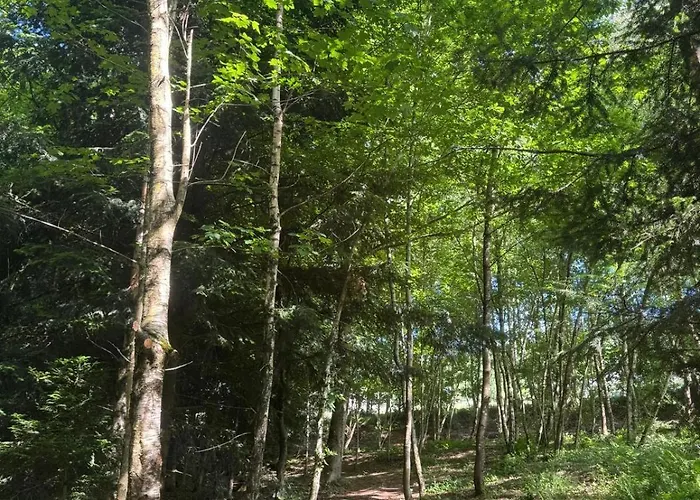 - Detente & Jacuzzi Aux Portes De Gerardmer Vila Anould