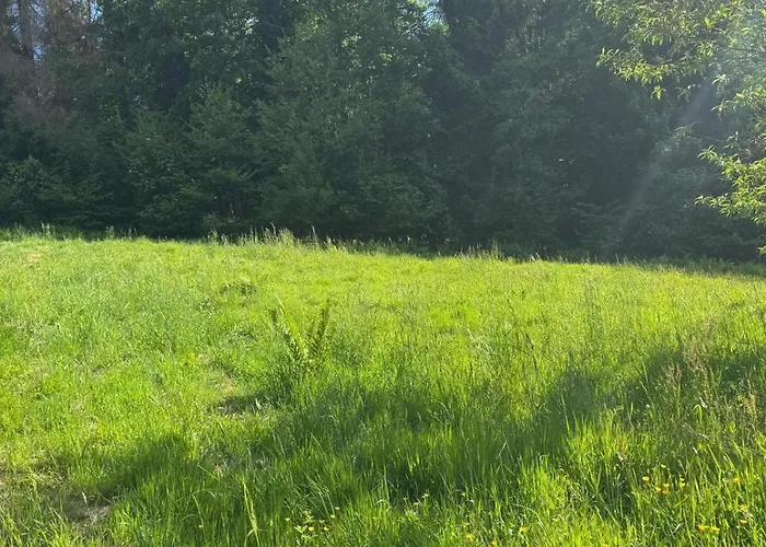 - Detente & Jacuzzi Aux Portes De Gerardmer