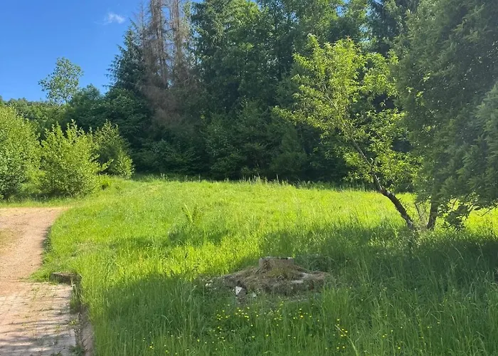 - Detente & Jacuzzi Aux Portes De Gerardmer Vila *