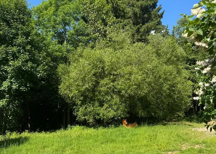 - Detente & Jacuzzi Aux Portes De Gerardmer * Anould