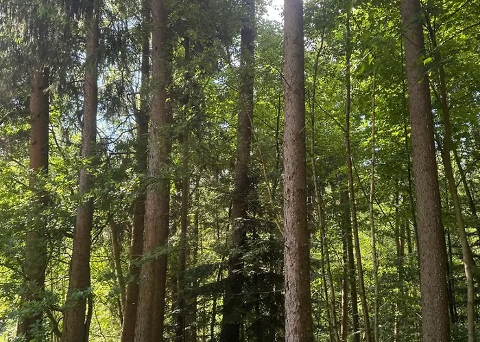 - Detente & Jacuzzi Aux Portes De Gerardmer Vila Anould