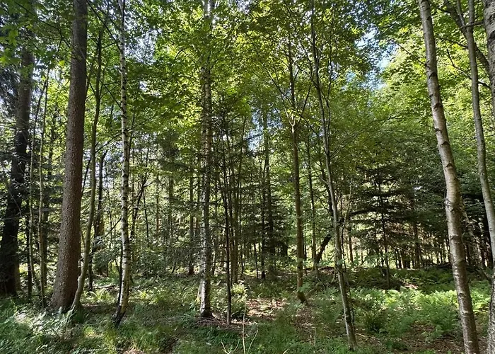 - Detente & Jacuzzi Aux Portes De Gerardmer Vila Anould