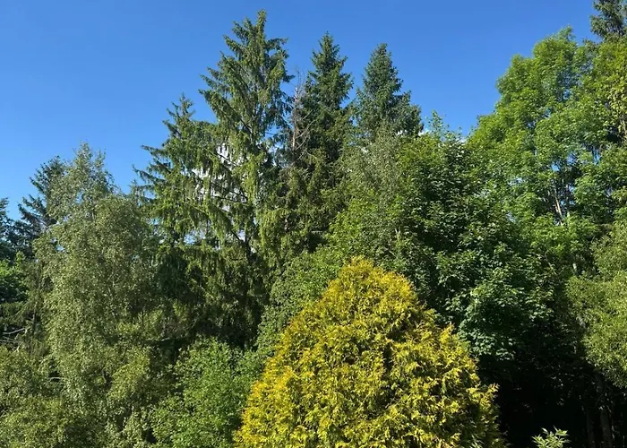 - Detente & Jacuzzi Aux Portes De Gerardmer